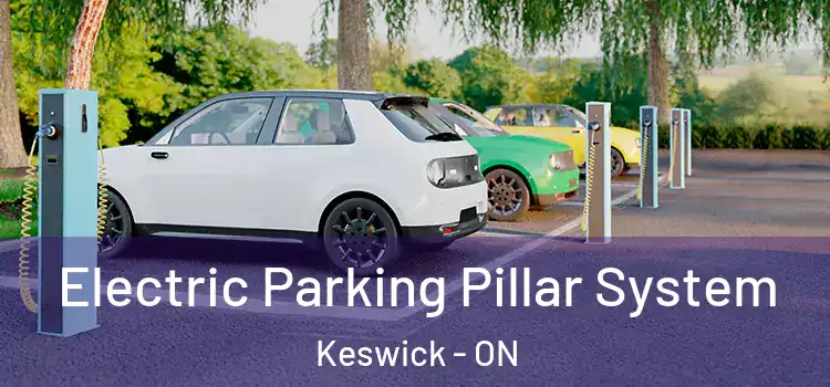  Electric Parking Pillar System Keswick - ON