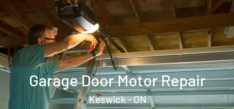  Garage Door Motor Repair Keswick - ON