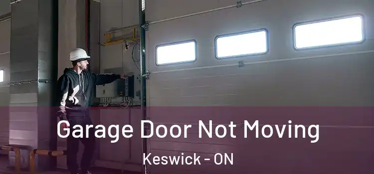  Garage Door Not Moving Keswick - ON